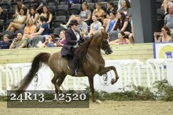 24R13_12520 thumbnail