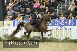 24R13_12521 thumbnail