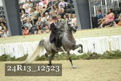 24R13_12523 thumbnail