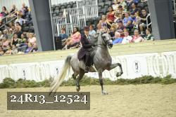 24R13_12524 thumbnail