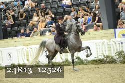 24R13_12526 thumbnail