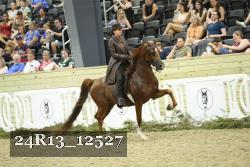 24R13_12527 thumbnail
