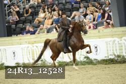 24R13_12528 thumbnail