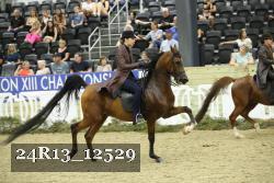 24R13_12529 thumbnail