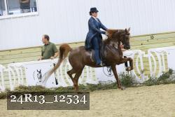 24R13_12534 thumbnail
