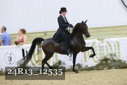 24R13_12535 thumbnail