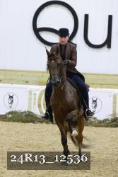 24R13_12536 thumbnail