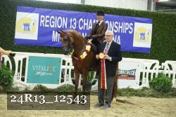 24R13_12543 thumbnail