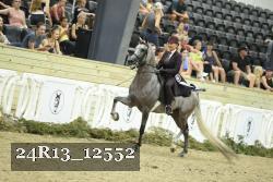24R13_12552 thumbnail