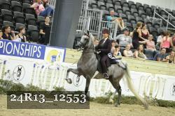 24R13_12553 thumbnail