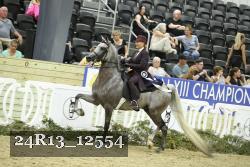 24R13_12554 thumbnail