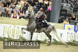 24R13_12555 thumbnail