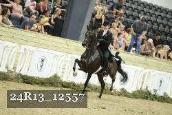 24R13_12557 thumbnail