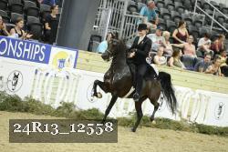 24R13_12558 thumbnail