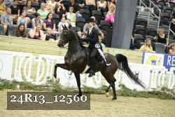 24R13_12560 thumbnail