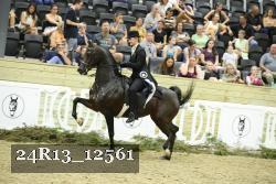 24R13_12561 thumbnail