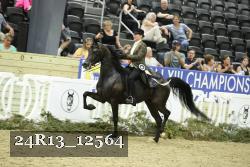 24R13_12564 thumbnail