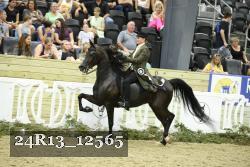 24R13_12565 thumbnail