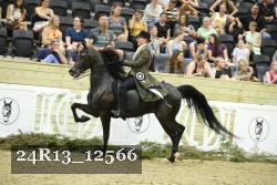 24R13_12566 thumbnail