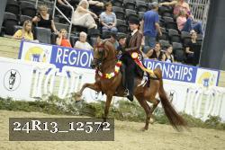 24R13_12572 thumbnail