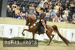 24R13_12573 thumbnail