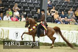 24R13_12574 thumbnail