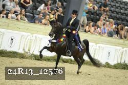 24R13_12576 thumbnail