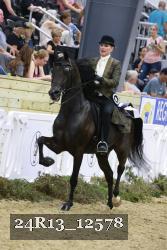 24R13_12578 thumbnail