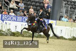 24R13_12579 thumbnail