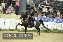 24R13_12580 thumbnail