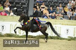 24R13_12584 thumbnail