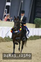 24R13_12589 thumbnail