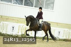 24R13_12593 thumbnail