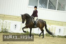 24R13_12594 thumbnail