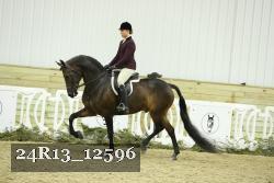 24R13_12596 thumbnail