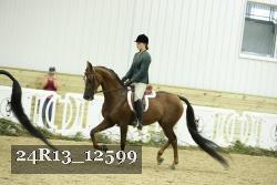 24R13_12599 thumbnail