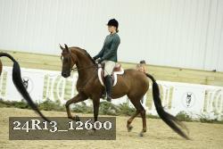 24R13_12600 thumbnail