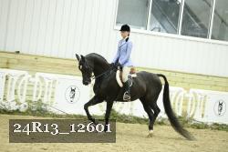 24R13_12601 thumbnail