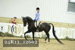 24R13_12602 thumbnail