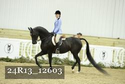 24R13_12603 thumbnail
