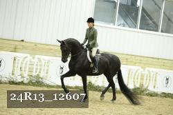 24R13_12607 thumbnail