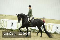 24R13_12608 thumbnail
