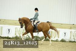24R13_12615 thumbnail