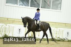 24R13_12616 thumbnail