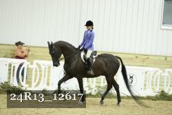 24R13_12617 thumbnail