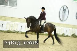 24R13_12618 thumbnail
