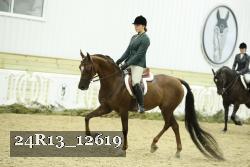 24R13_12619 thumbnail