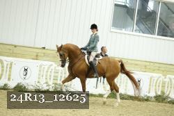 24R13_12625 thumbnail