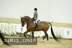 24R13_12628 thumbnail