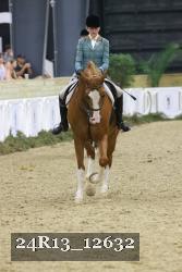 24R13_12632 thumbnail